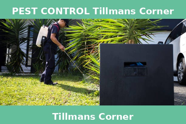 PEST CONTROL Tillmans Corner